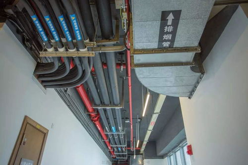 管道支架及吊架 安徽管道支架及吊架加工 江苏圣天装备制造